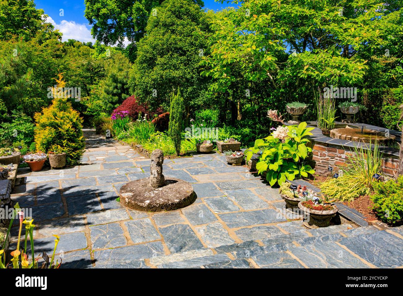 Un mélange coloré de fleurs et feuillage dans le jardin de pierres à la RHS Garden Rosemoor, Devon, England, UK Banque D'Images