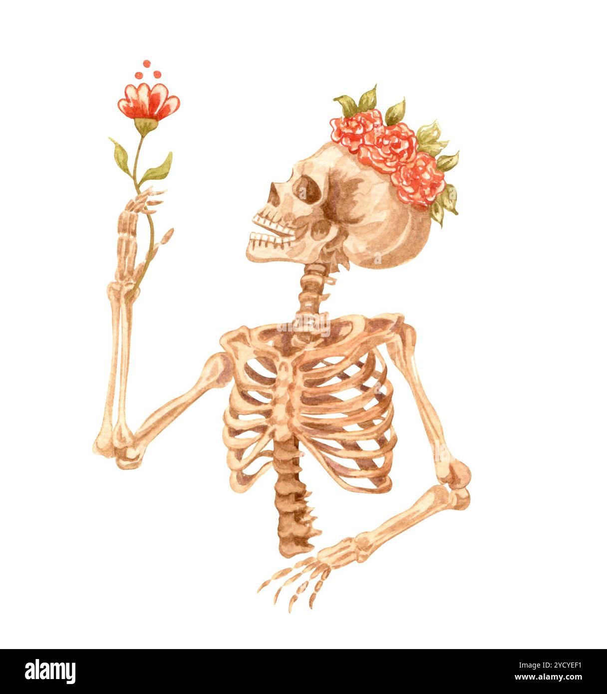 Scull humain décoré de couronne florale. Illustration aquarelle. Journée mexicaine des morts. Banque D'Images