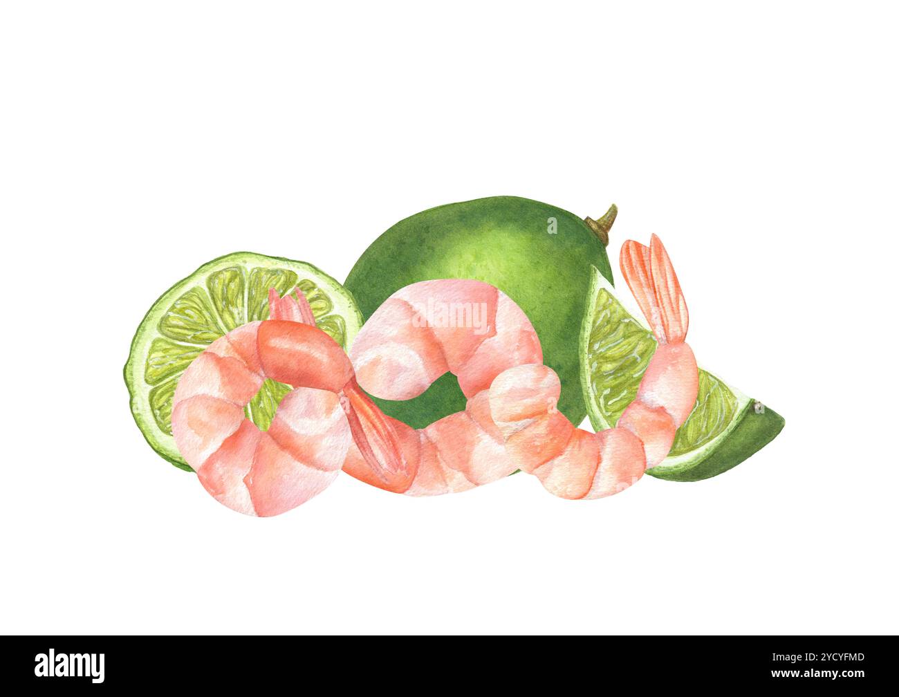 Savoureuse crevette fraîche pelée avec illustration aquarelle citron vert. Crevettes tigrées saines bouillies non coques servies entières et coupées en tranches d'agrumes pour la décoration du menu Banque D'Images