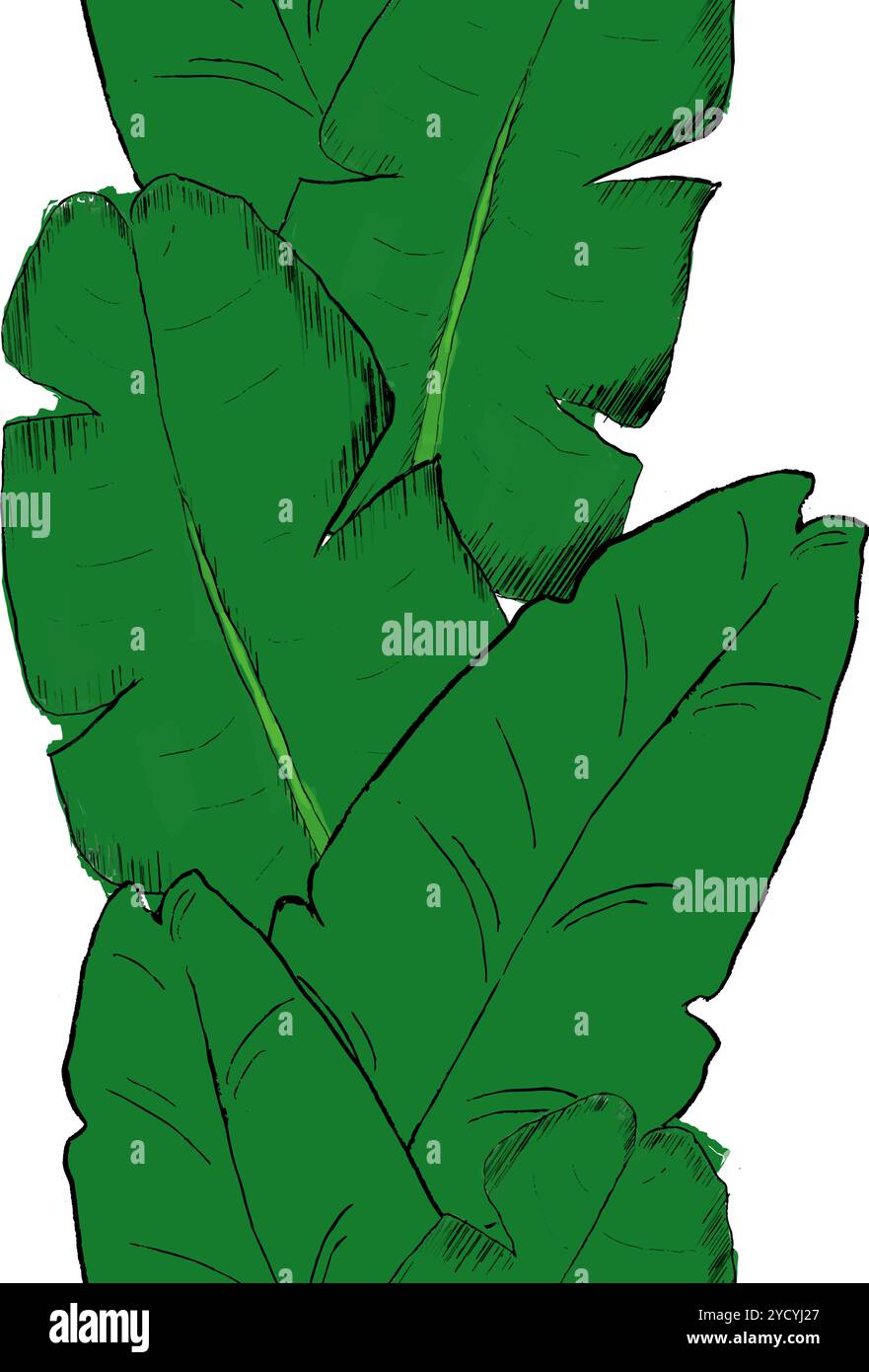 Illustration de fond de bordure verticale de motif vectoriel graphique tropical. Toile de fond de vecteur feuillu. Papier peint de luxe de plantes tropicales de surface. Beau bota Illustration de Vecteur