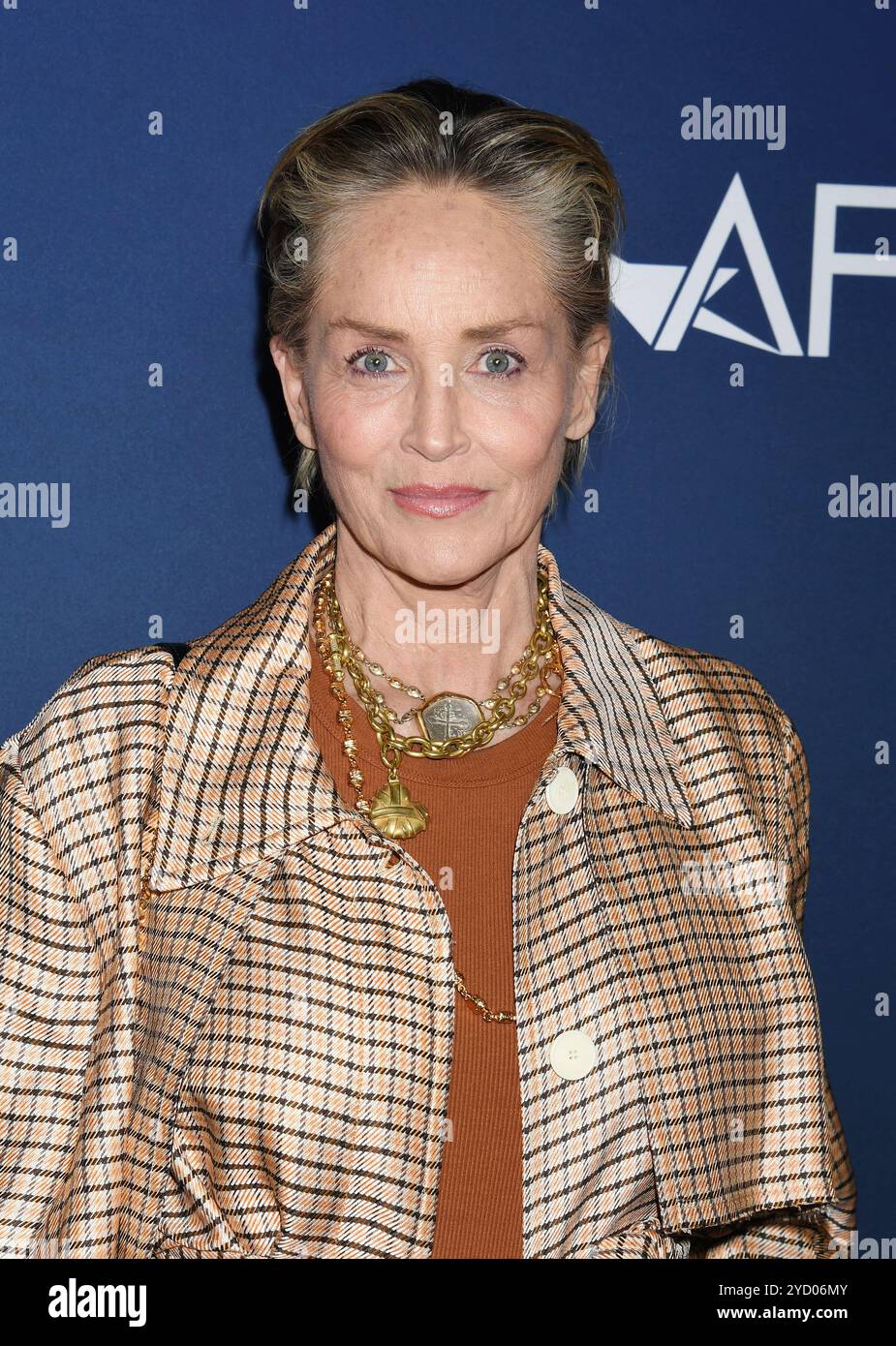 Hollywood, Californie, États-Unis. 23 octobre 2024. Sharon Stone assiste à la première de Zurwaski V Texas lors de l'AFI Fest 2024 au TCL Chinese 6 Theatres le 23 octobre 2024 à Hollywood, Californie. Crédit : Jeffrey Mayer/JTM photos, International/Media Punch/Alamy Live News Banque D'Images