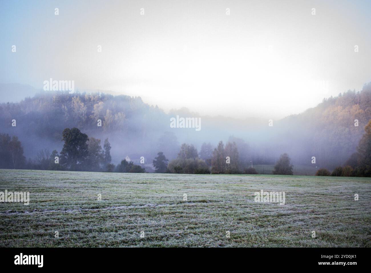 Paysage émotionnel une forêt et une prairie avec du brouillard après la pluie en république tchèque, peut-être scène de crime, mystique Banque D'Images