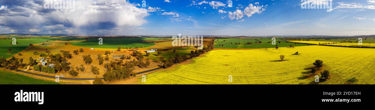 Champs ruraux panoramiques pour des kilomètres et des kilomètres Banque D'Images