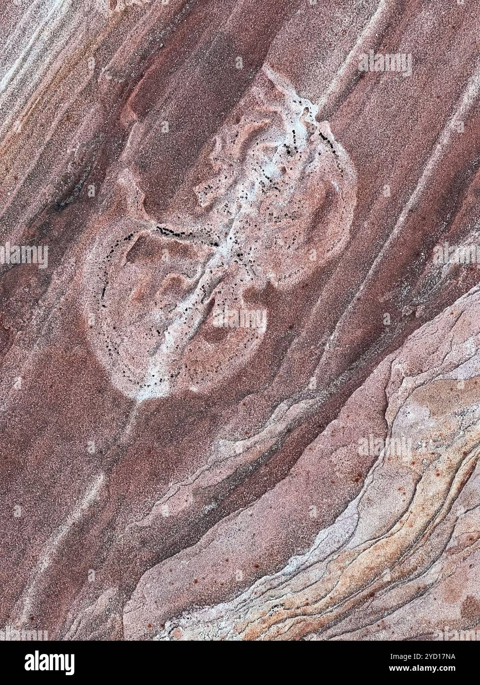 Motifs en grès ; White Pocket, Vermillion Cliffs National Monument, Arizona. - Image de stock capturée avec un smartphone