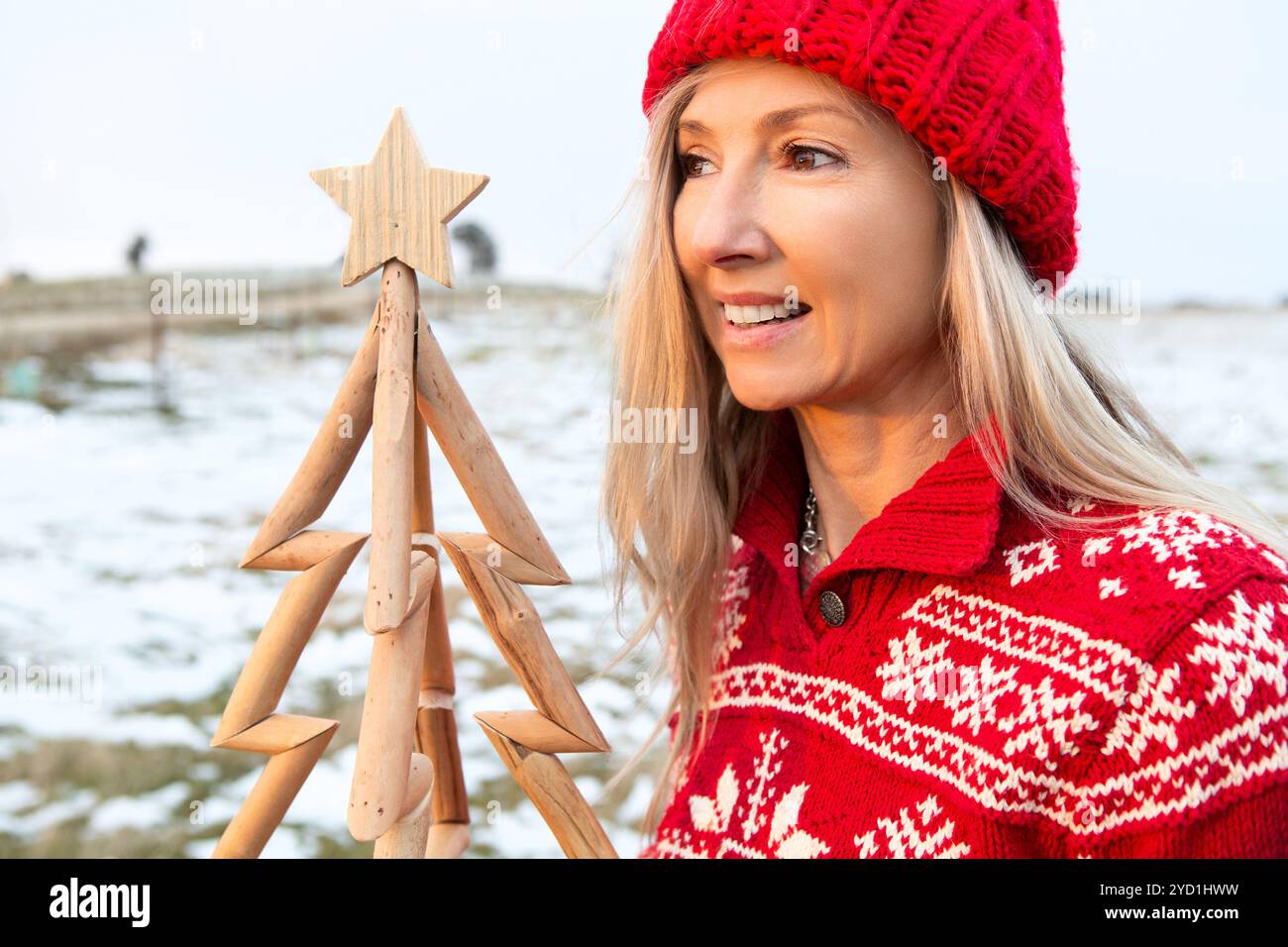 Femme tenant un arbre de Noël en bois, saison de Noël, Noël en juillet thèmes Banque D'Images