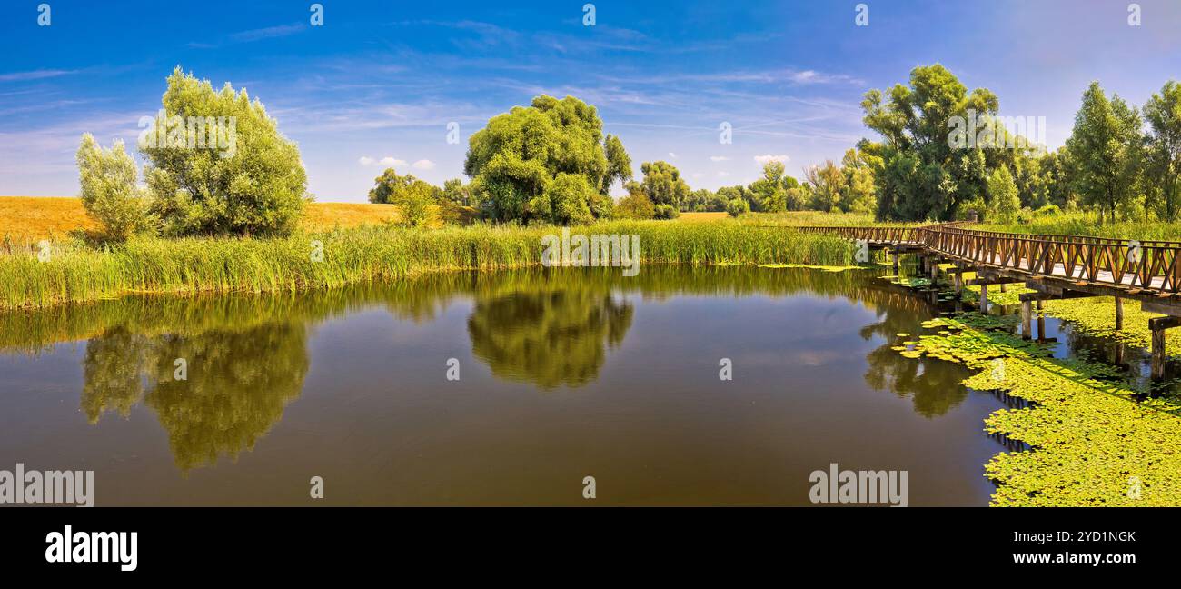 Kopacki rit Marshes Parc naturel bois promenade vue panoramique Banque D'Images