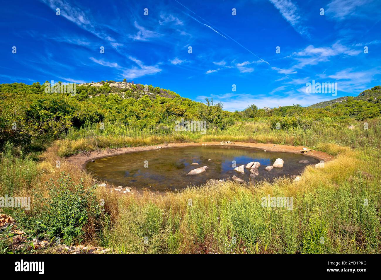 Oasis d'eau du désert karstique sur l'île de Dugi Otok Banque D'Images