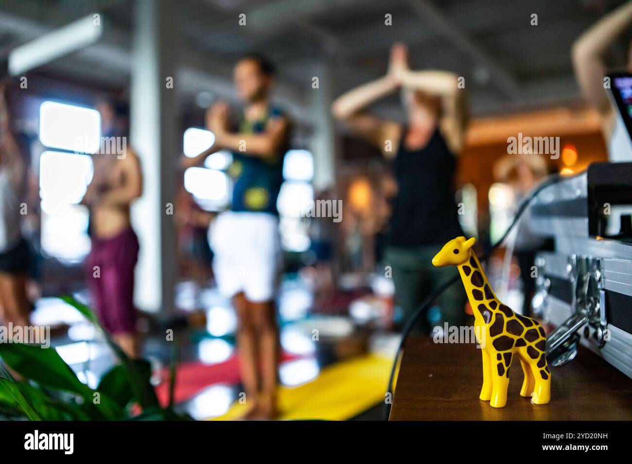 Groupe diversifié de personnes en cours de yoga. Banque D'Images