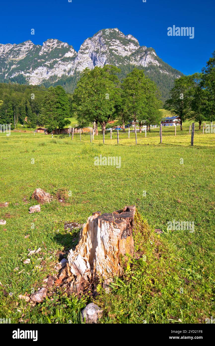 Vallée de Ramsau dans la région alpine de Berchtesgaden vue sur le paysage Banque D'Images