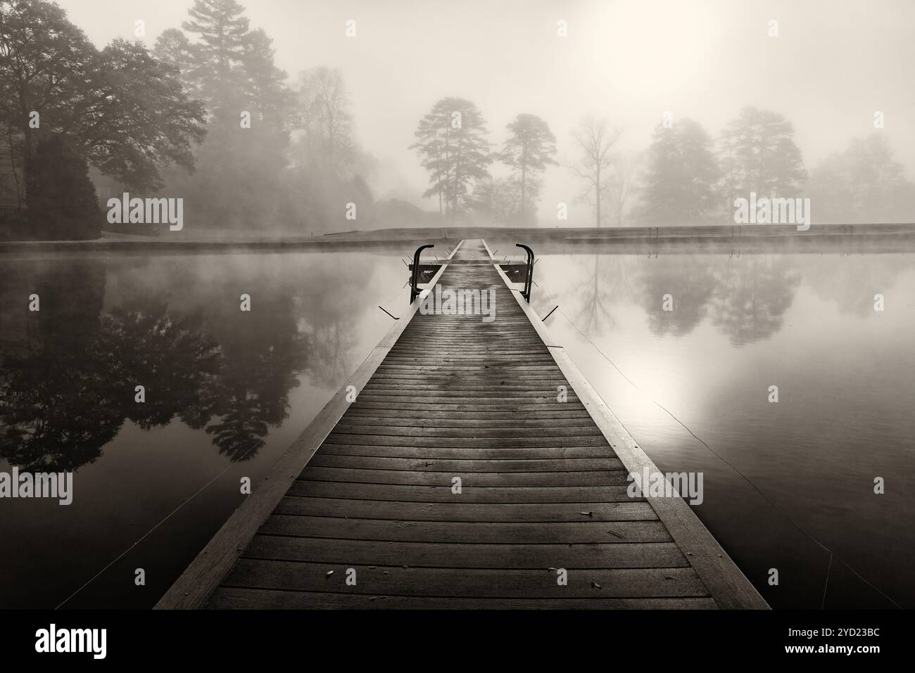 Brouillard Moody tôt le matin sur Straus Lake - Brevard, Caroline du Nord, USA [image noir et blanc] Banque D'Images
