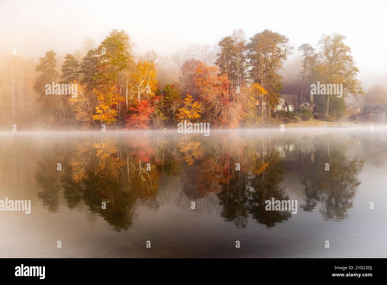 Matin d'automne brumeux sur Straus Lake - Brevard, Caroline du Nord, États-Unis Banque D'Images