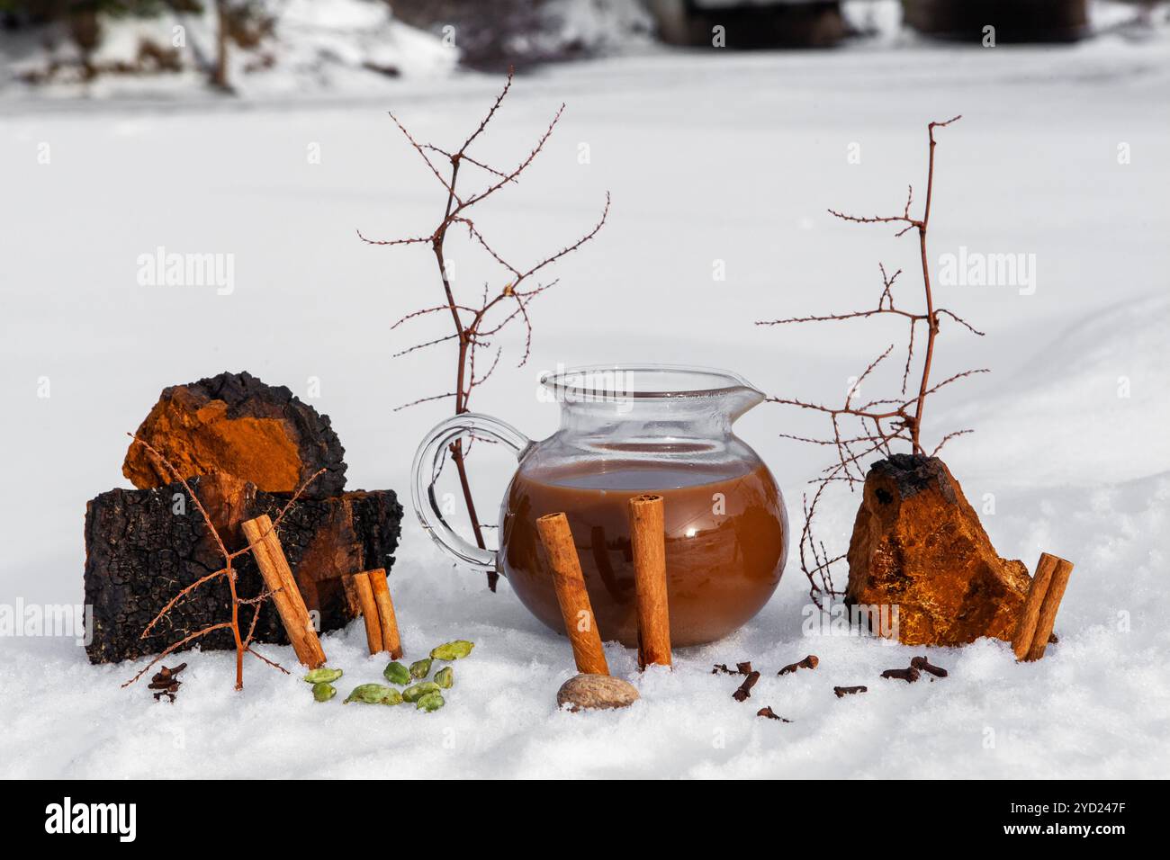 Boisson chaude d'hiver avec des bienfaits pour la santé. Banque D'Images