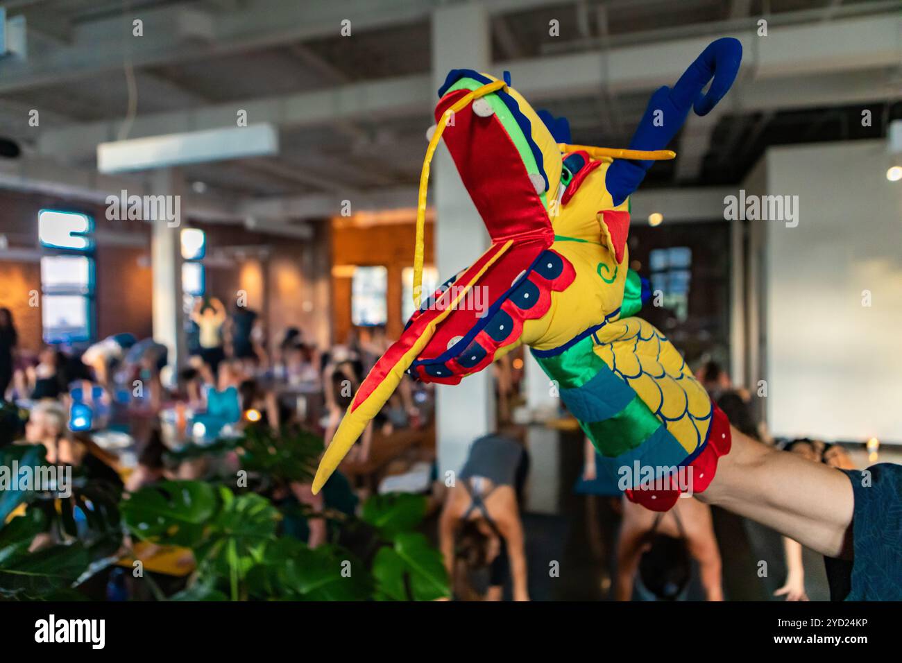 Groupe diversifié de personnes en cours de yoga. Banque D'Images