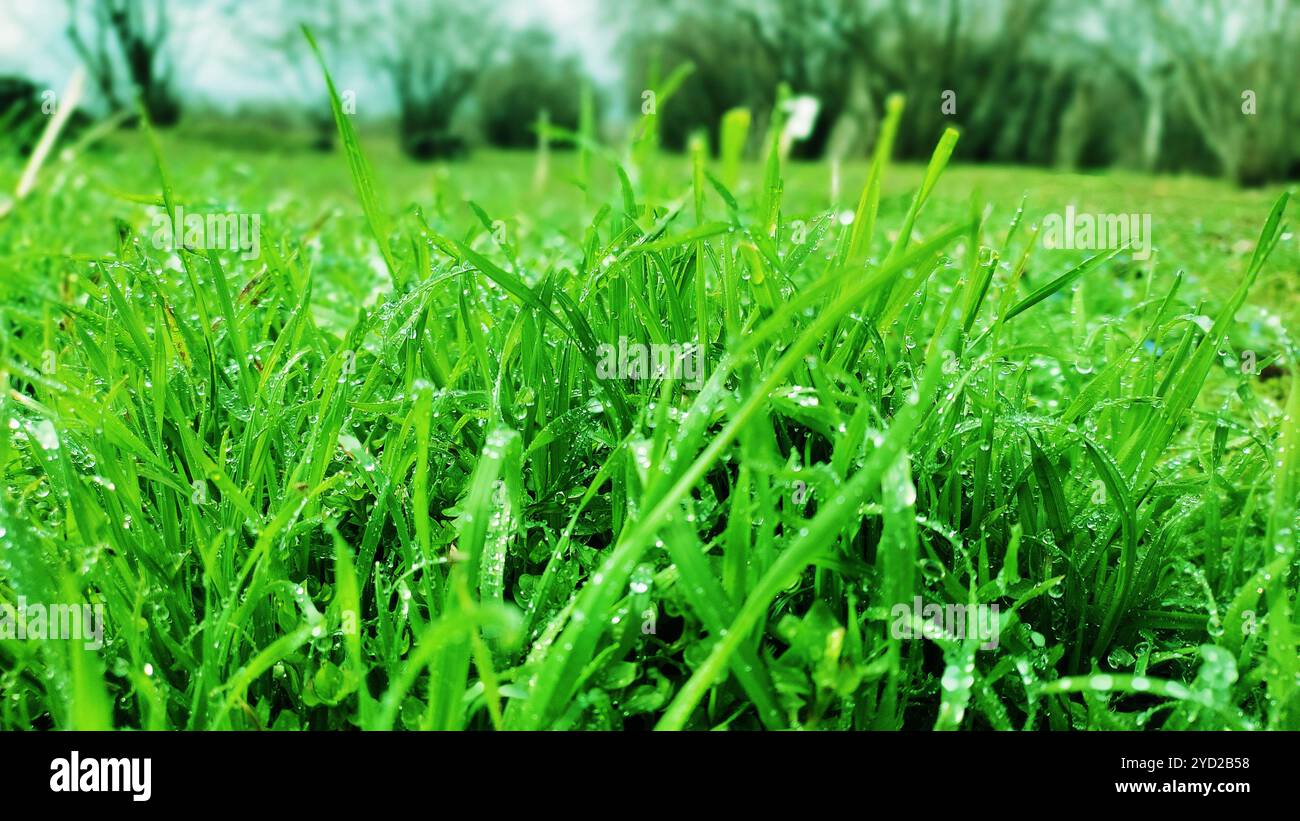 Concept nature. Banque D'Images