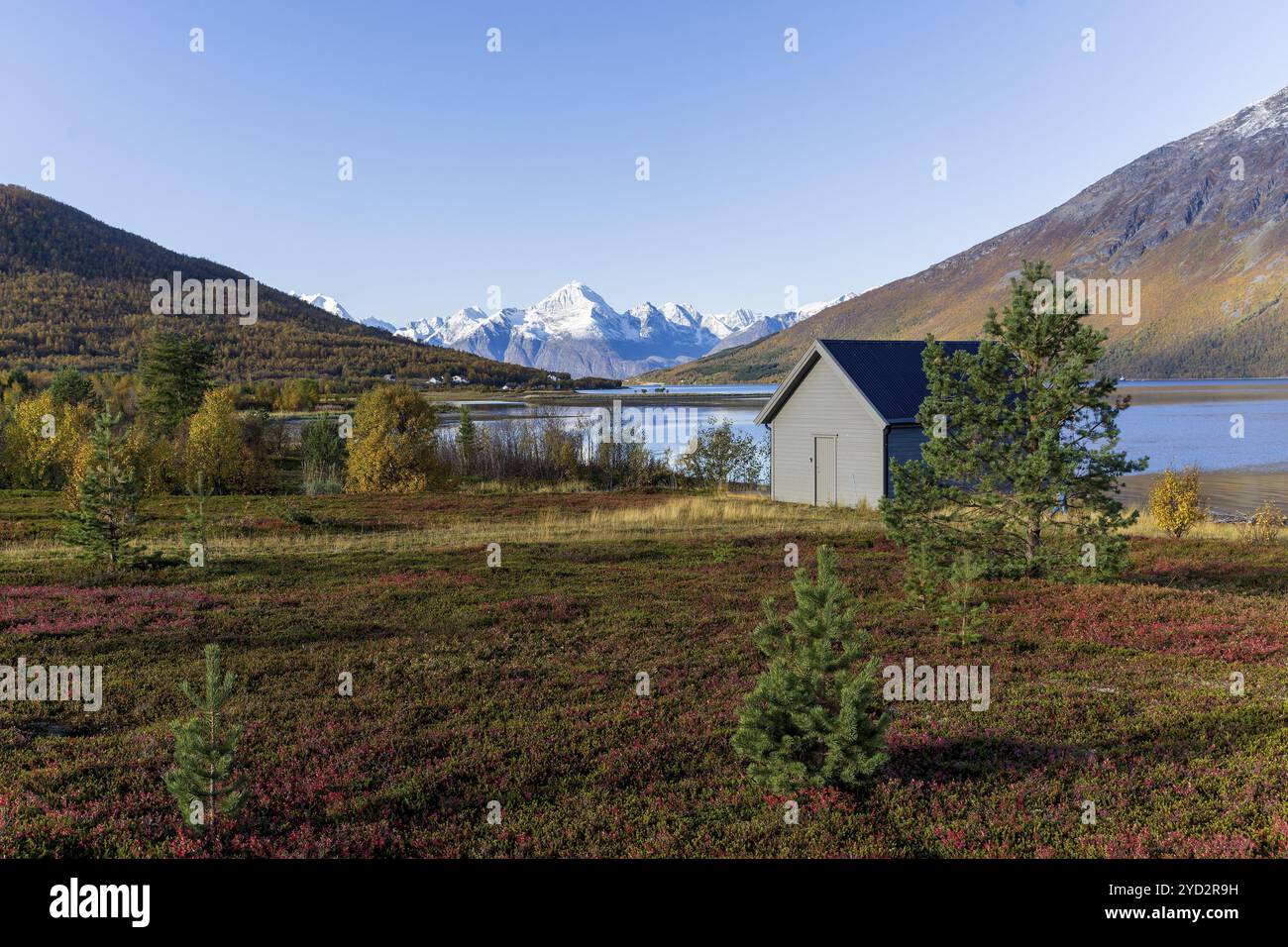 Montagnes enneigées du fjord Lyngen, septembre 2024, Norvège, Europe Banque D'Images