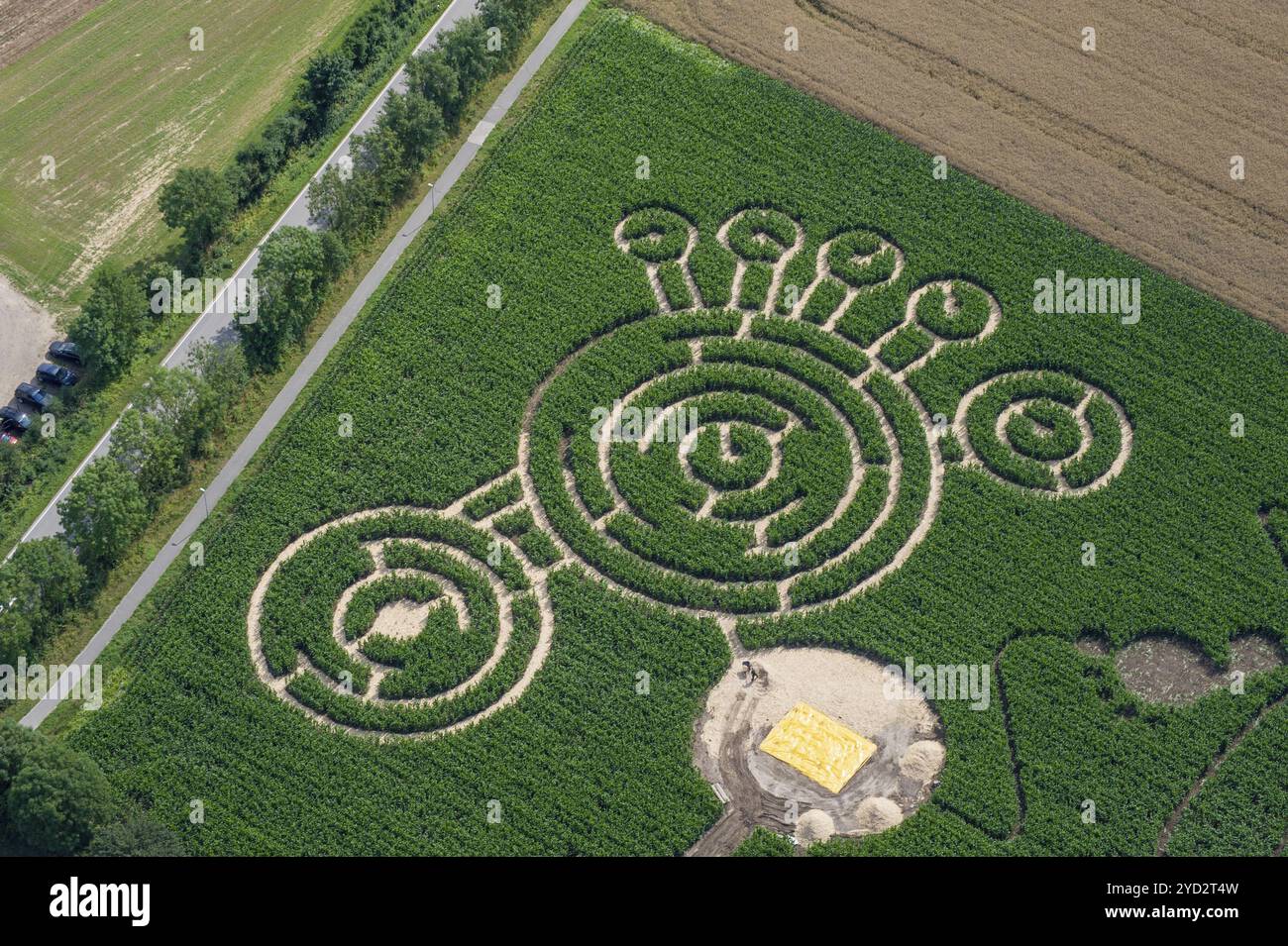 Photo aérienne, labyrinthe de maïs, maïs, agriculture, empreinte, Schleswig-Holstein Banque D'Images