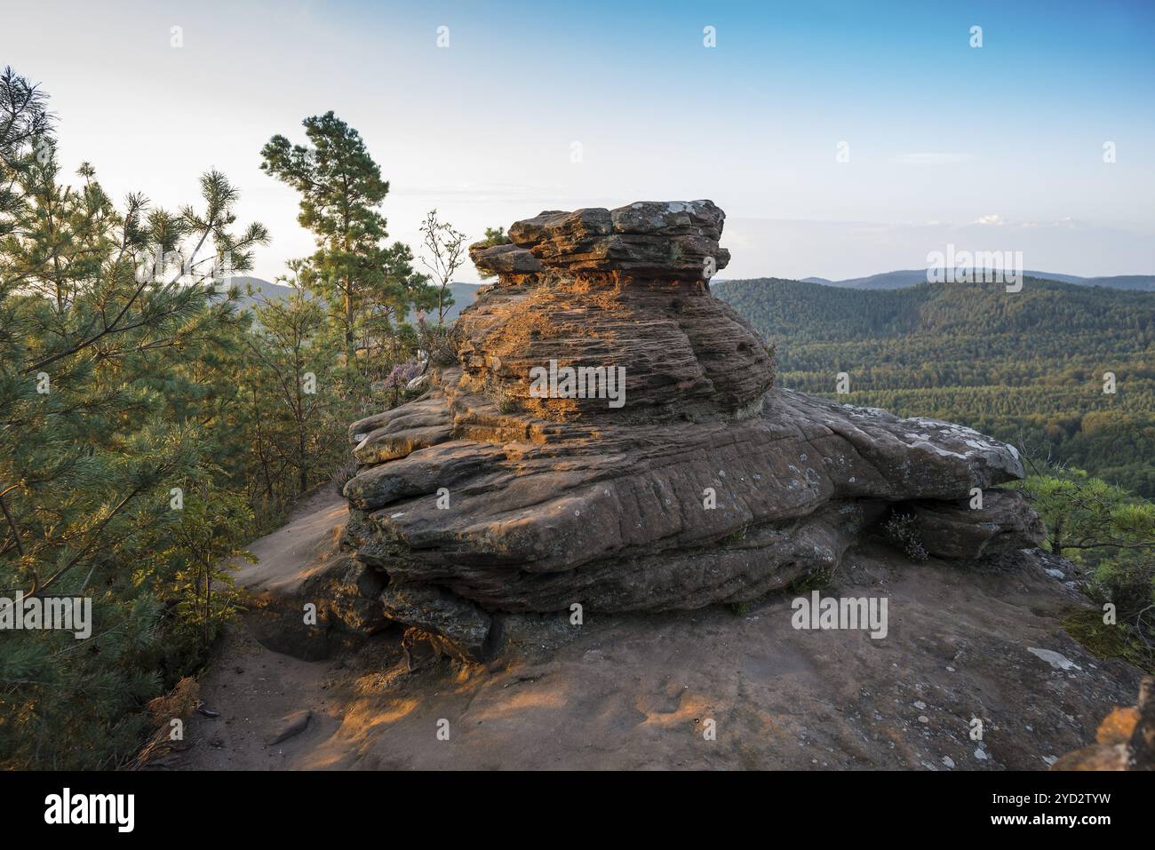 Roches de grès, Roetzenfelsen, lever du soleil, Gossersweiler-Stein, Forêt du Palatinat, forêt du Palatinat, Rhénanie-Palatinat, Allemagne, Europe Banque D'Images