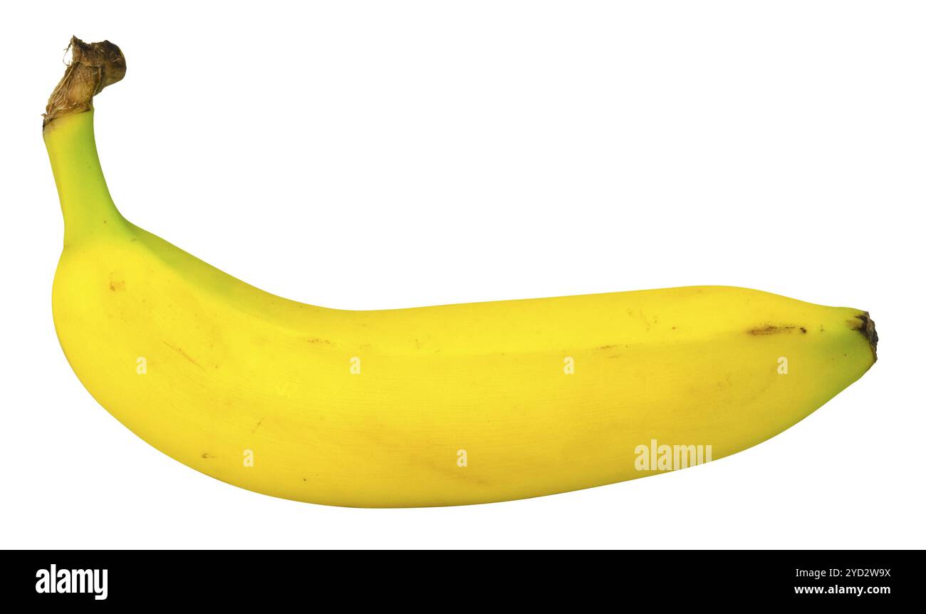 Vue latérale d'une banane biologique jaune mûre isolée Banque D'Images