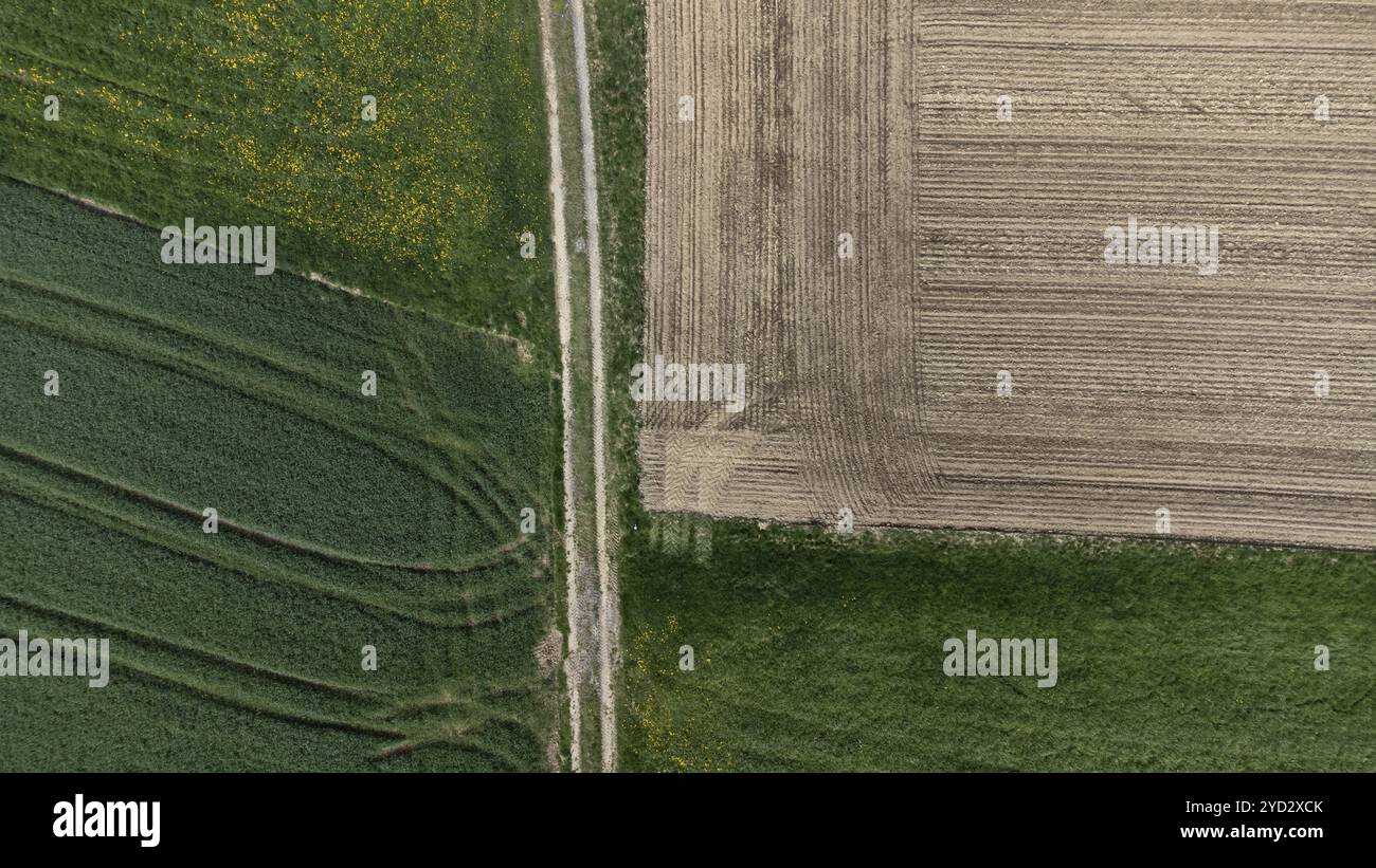 Une piste de terre sépare différentes zones agricoles, motif intéressant d'une vue d'oiseau, image de drone, basse Bavière, Bavière, Allemagne, Europe Banque D'Images
