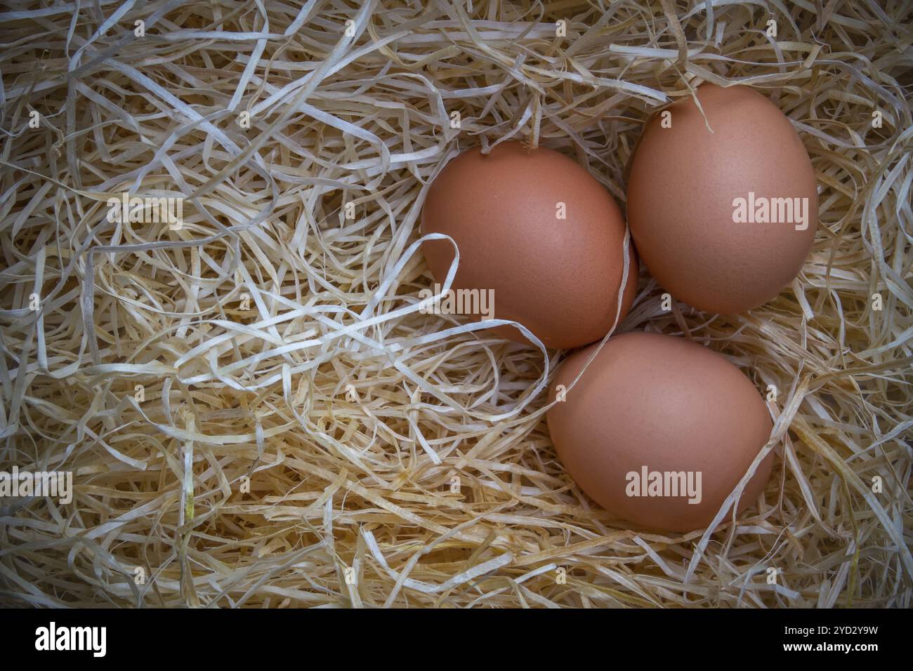 Scène rustique de trois œufs de la gamme libre à UN marché Calage Banque D'Images