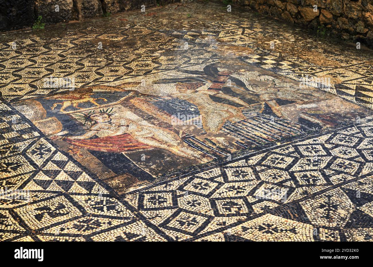 Volubilis, Maroc, 3 mars 2024 : vue détaillée des mosaïques de sol complexes dans les ruines de la ville romaine de Volubilis dans le nord du Maroc près de Meknès, AF Banque D'Images