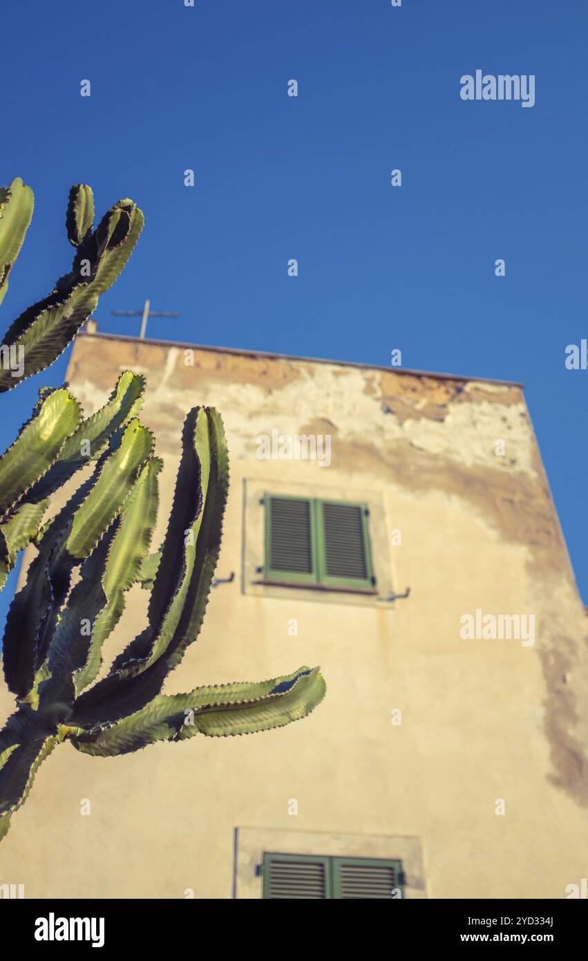 Une Grungy style mexicain ou espagnol traditionnel accueil sur une journée ensoleillée avec un Cactus dans l'avant-plan Banque D'Images