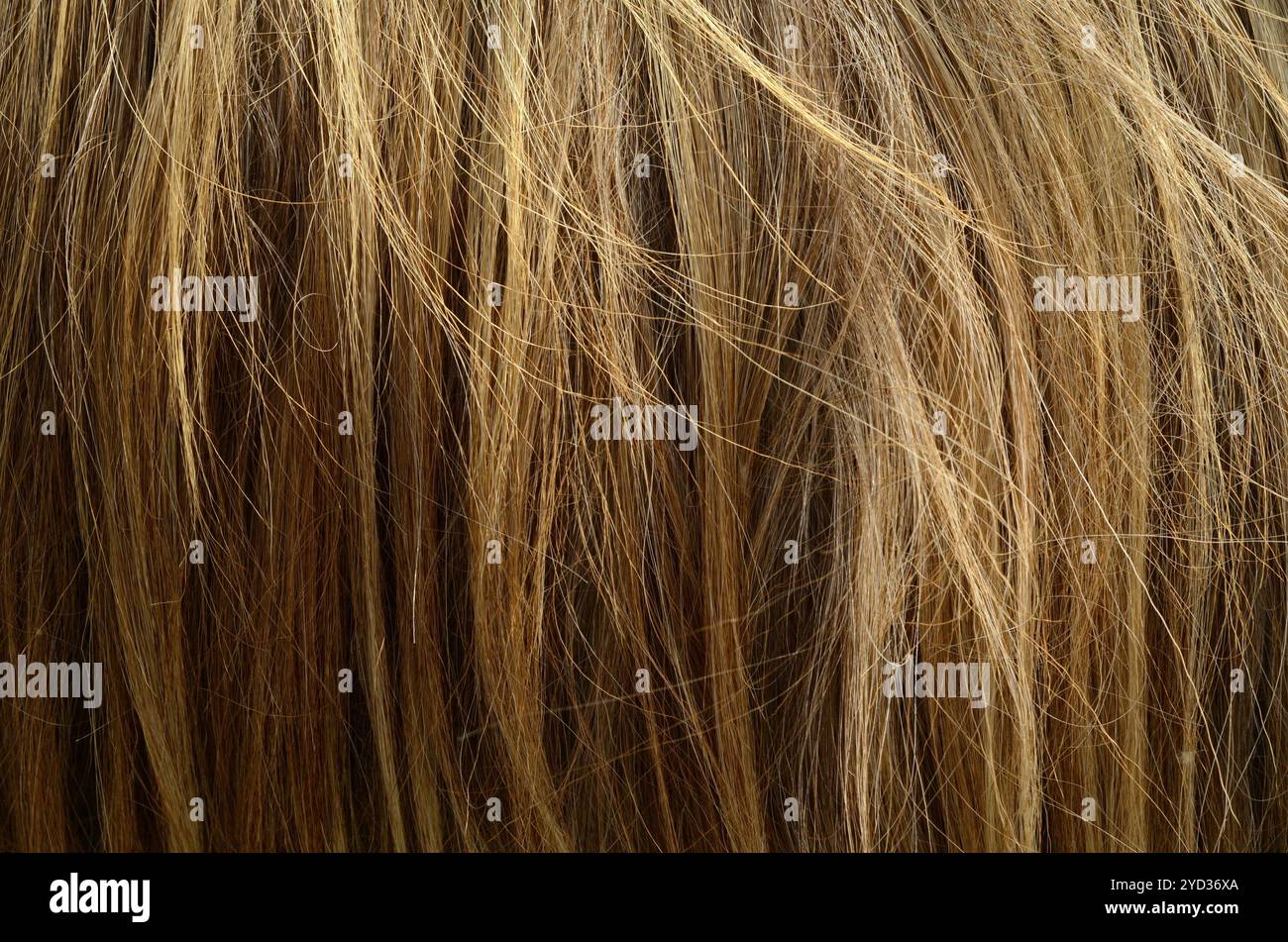 Résumé fond Texture de poils grossiers malpropre Banque D'Images