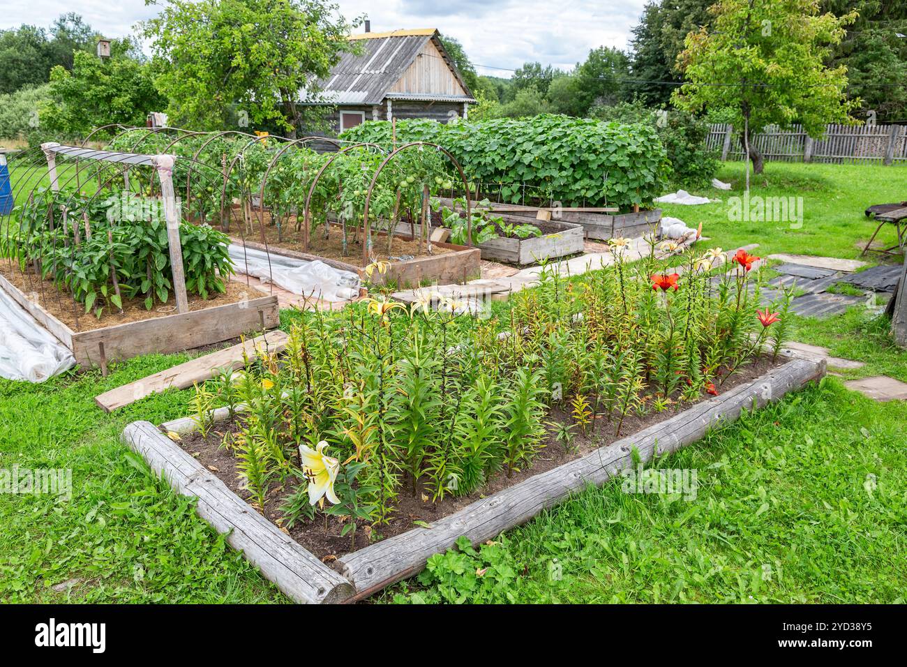 Les fleurs et les légumes poussent au potager Banque D'Images