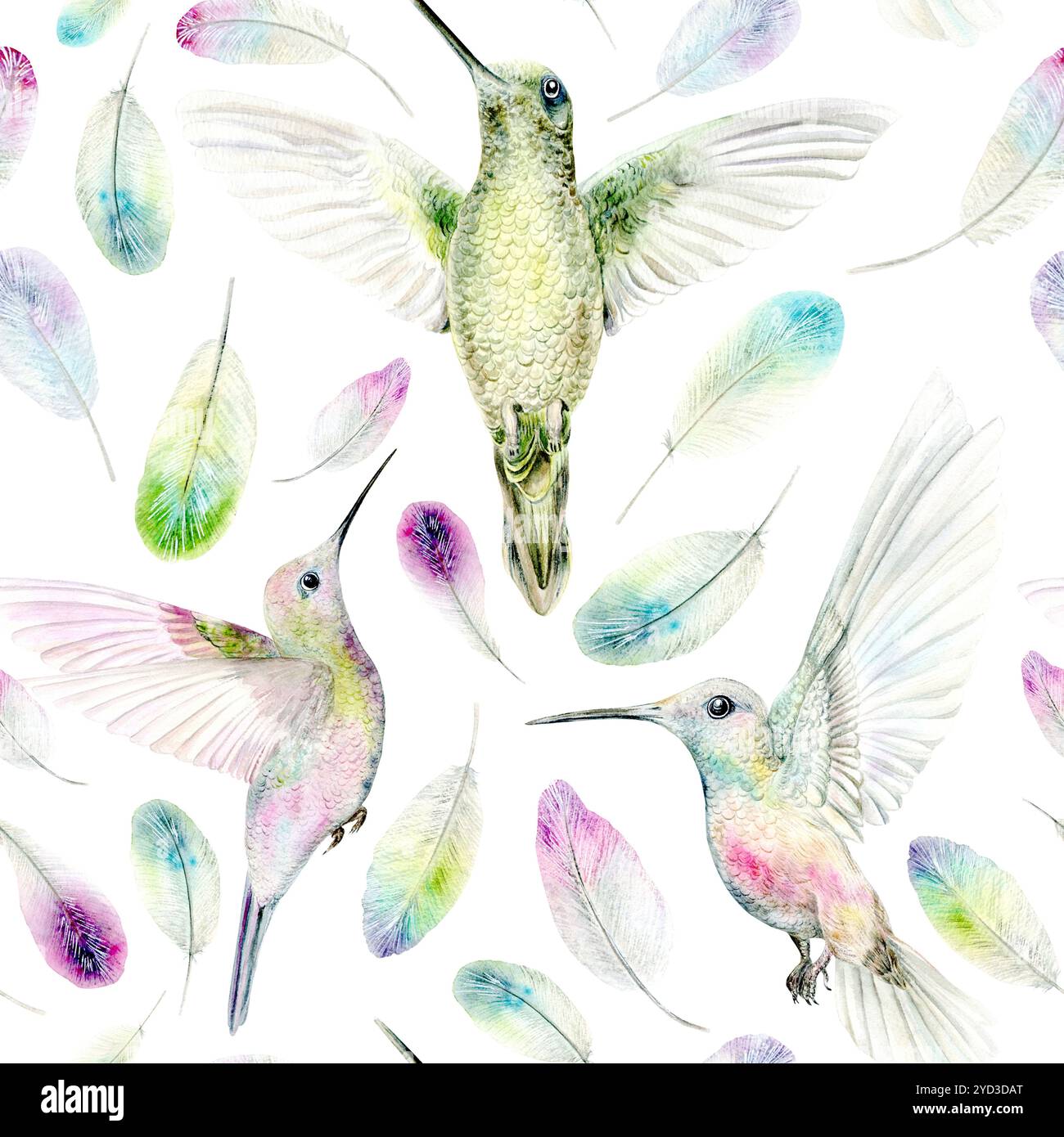 Colibris. Motif sans couture. Illustration aquarelle lumineuse dessinée à la main sur un fond blanc. Convient pour encadrer des dessins, des cartes et des textiles Banque D'Images