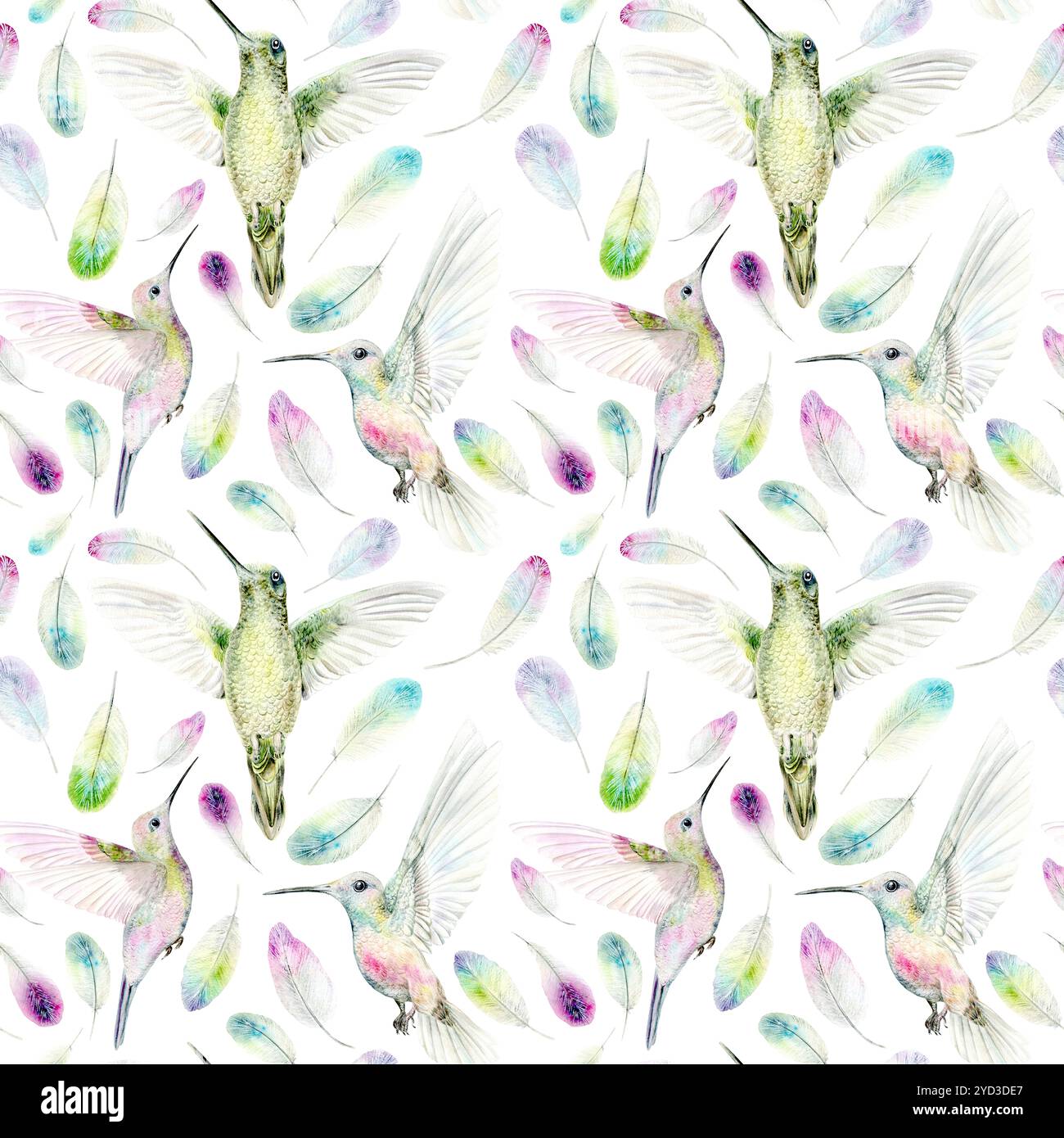 Motif sans couture de colibris et de plumes de couleurs vives. Le motif aquarelle est dessiné à la main. Convient pour l'emballage et la conception textile Banque D'Images