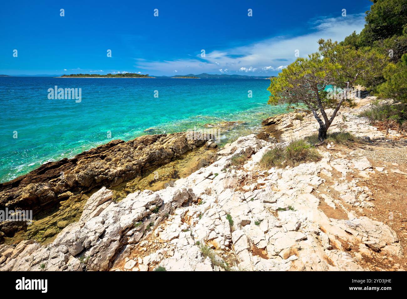 Vue idyllique sur la plage rocheuse turquoise à Zadar riviera Banque D'Images