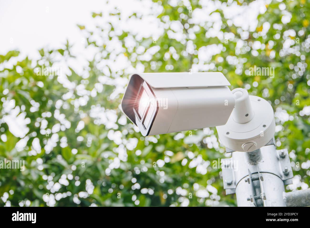 Caméra CCTV dans le jardin du parc public forestier ou parc national pour la sécurité et la protection de l'écosystème animal dans la nature. Banque D'Images