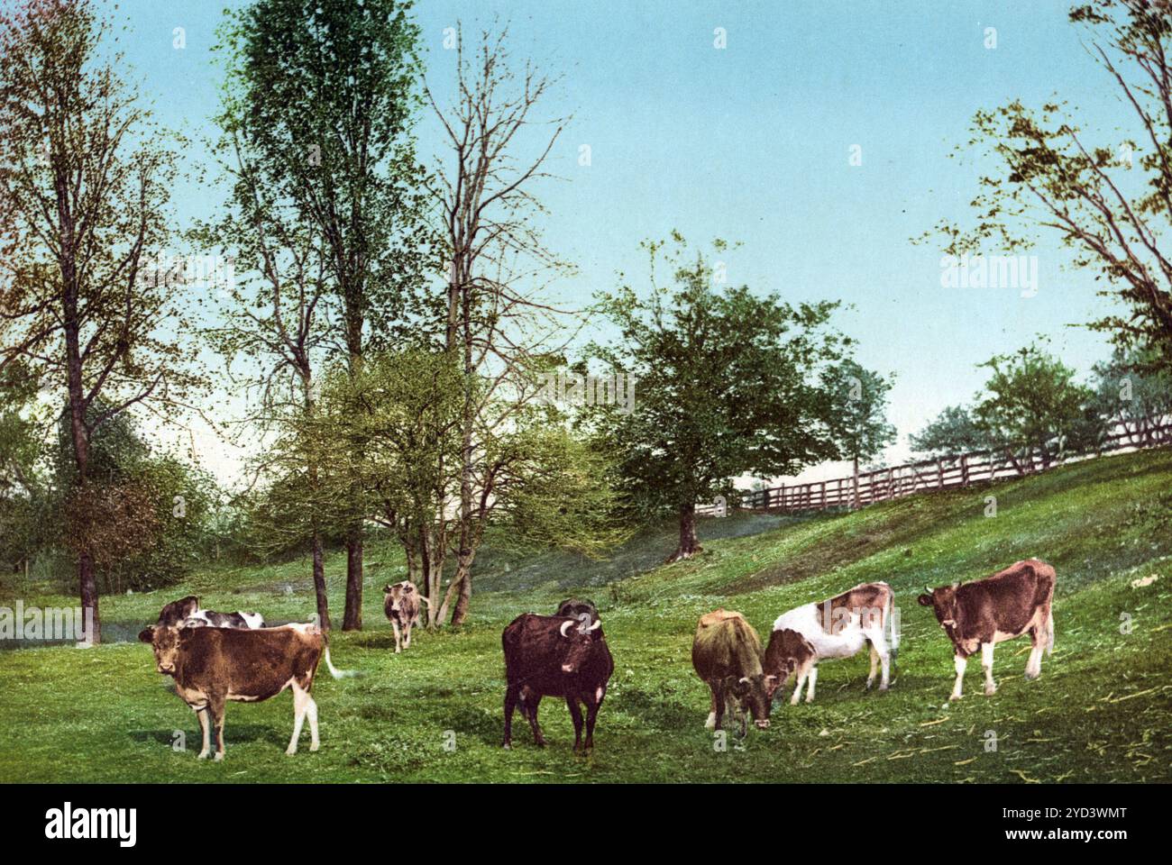 Meadowland in der Nähe von Montreal, Kanada, digital restaurierte Reproduktion eines Originals aus dem 19. Jahrhundert, Aufnahmedatum nicht angegeben, Meadowland près de Montréal, Canada, reproduction restaurée numériquement à partir d'un original du XIXe siècle, date d'enregistrement non indiquée Banque D'Images Meadowland in der Nähe von Montreal, Kanada, digital restaurierte Reproduktion eines Originals aus dem 19. Jahrhundert, Aufnahmedatum nicht angegeben, Meadowland près de Montréal, Canada, reproduction restaurée numériquement à partir d'un original du XIXe siècle, date d'enregistrement non indiquée Banque D'Images