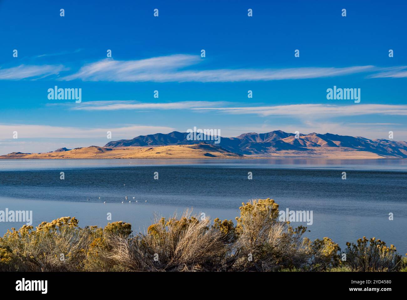 Il s'agit d'une vue sur le Grand Lac Salé et l'île de Fremont avec les montagnes Promontory à la distance de Antelope Island Causeway, Utah, États-Unis. Banque D'Images