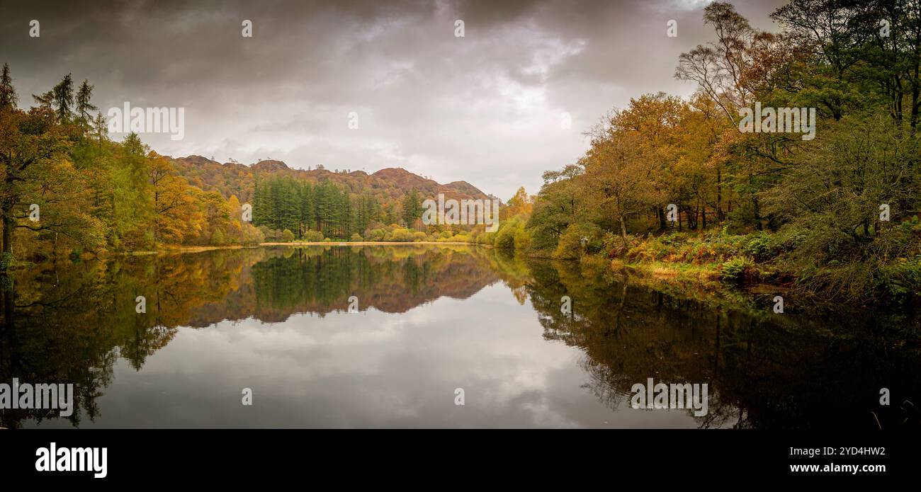 Yew Tree Tarn aux couleurs d'automne Banque D'Images