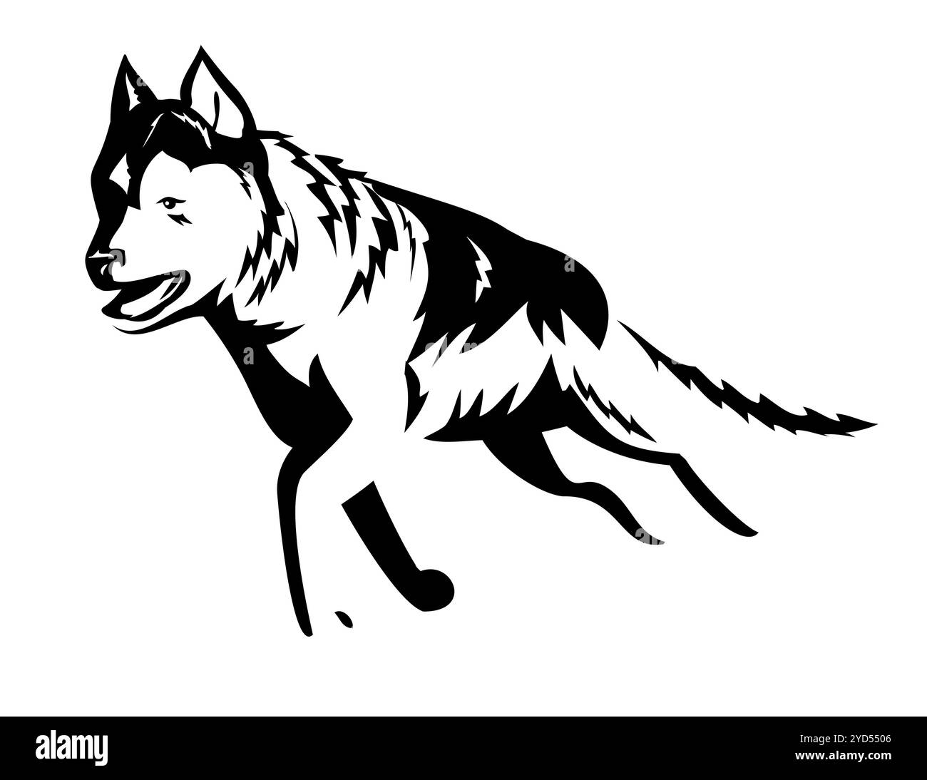 Husky sibérien Running Retro style noir et blanc Banque D'Images
