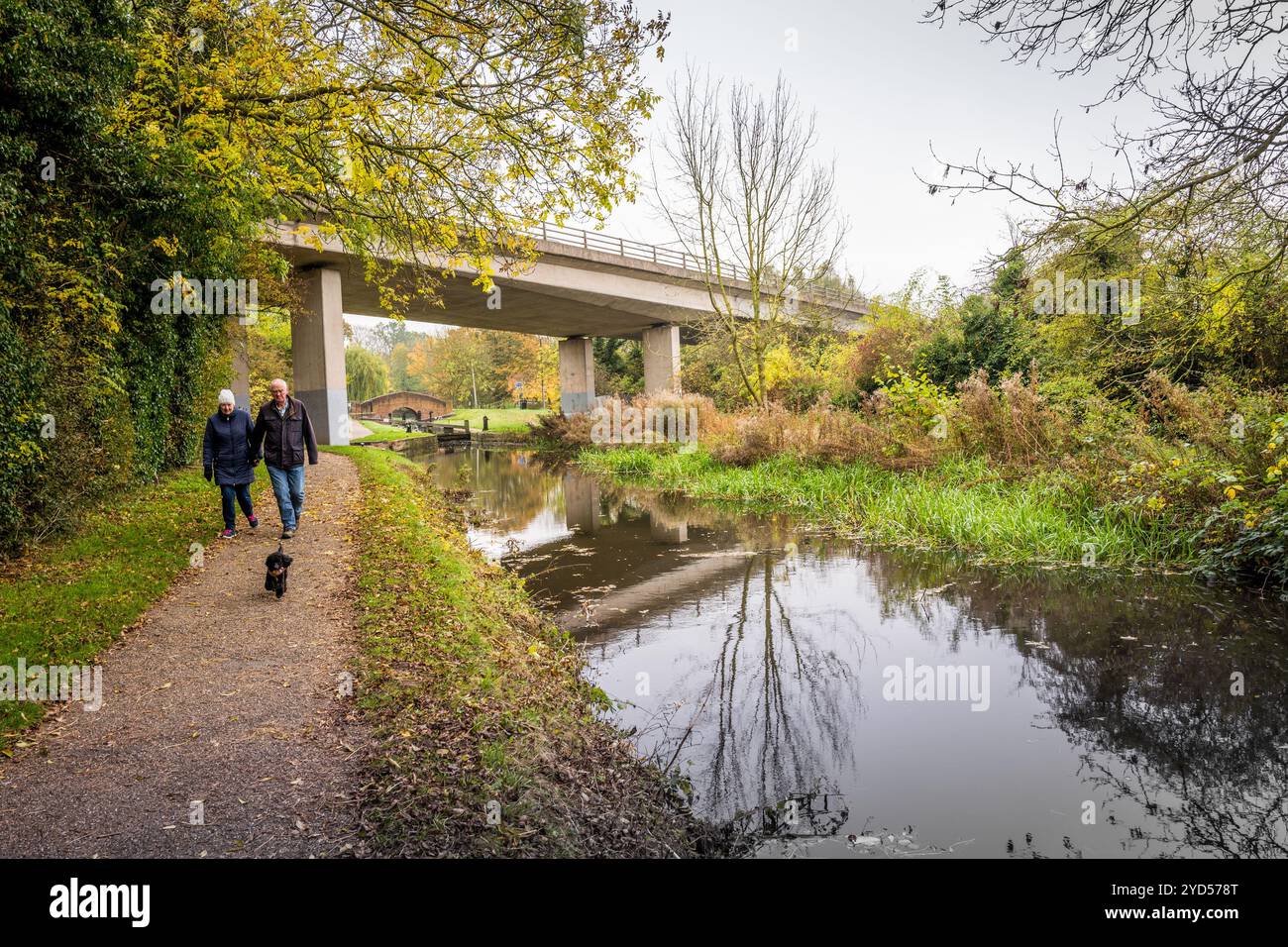 Couple âgé marchant le long du canal Chesterfield avec leur petit chien noir. Banque D'Images
