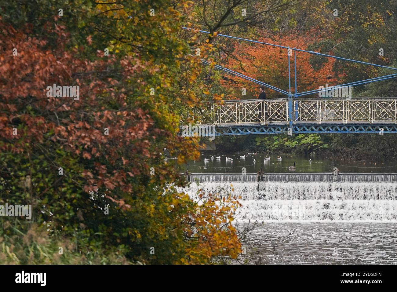 Les gens marchent sur un pont sur la rivière Leam à Leamington Spa, Warwickshire, pendant le temps automnal. Date de la photo : vendredi 25 octobre 2024. Banque D'Images