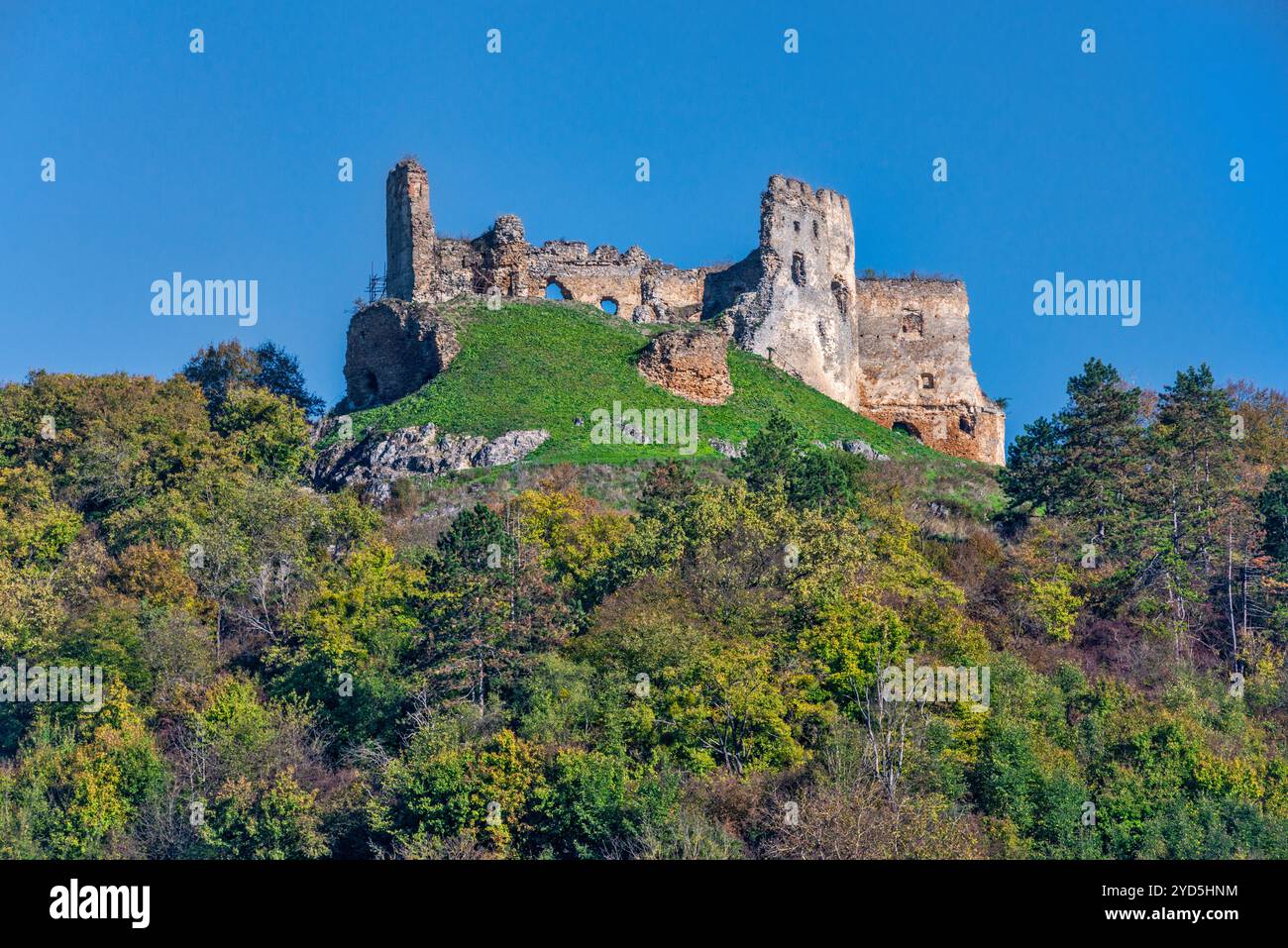 Ruines du château de Čičva (Čičava), XIIIe siècle, près de Vranov nad Topľou, région de Prešov, Slovaquie Banque D'Images