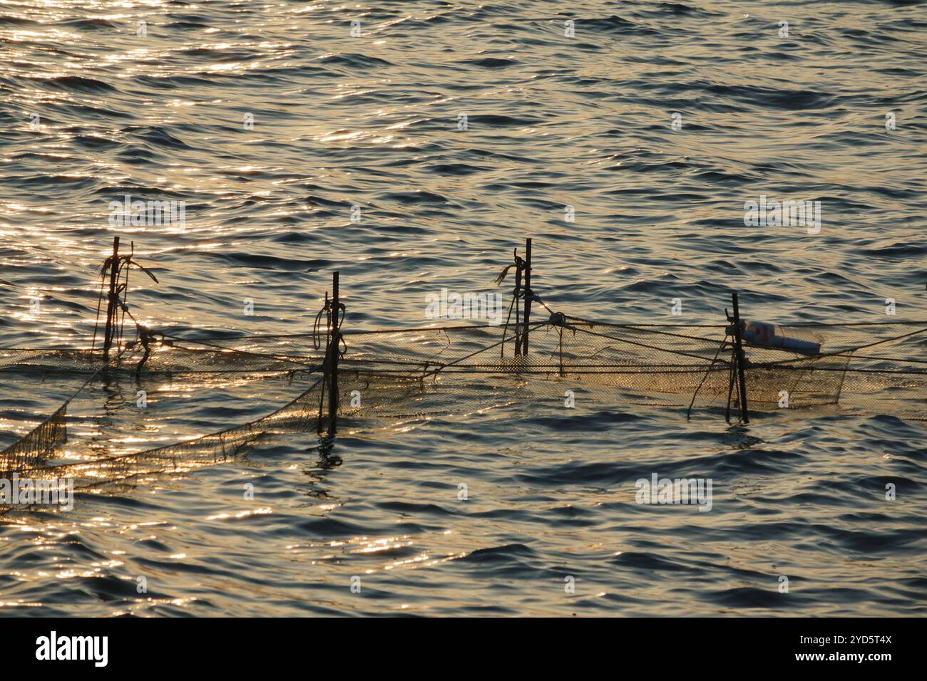 Filet de pêche dans la mer Banque D'Images