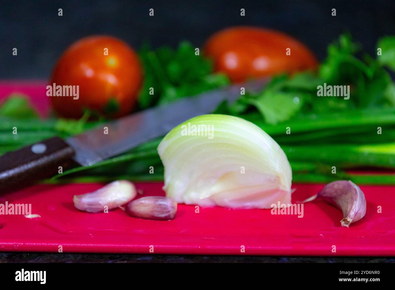 Combinaison classique de légumes utilisés en cuisine, ail, oignon, tomate, persil, ciboulette et romarin Banque D'Images