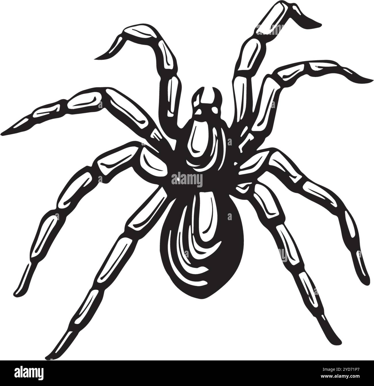 Esquisse de croisillon. Illustration de ligne graphique vectorielle, dessinée à la main isolée. Doodle noir et blanc. Insecte dangereux effrayant veuve noire, animaux sauvages Illustration de Vecteur