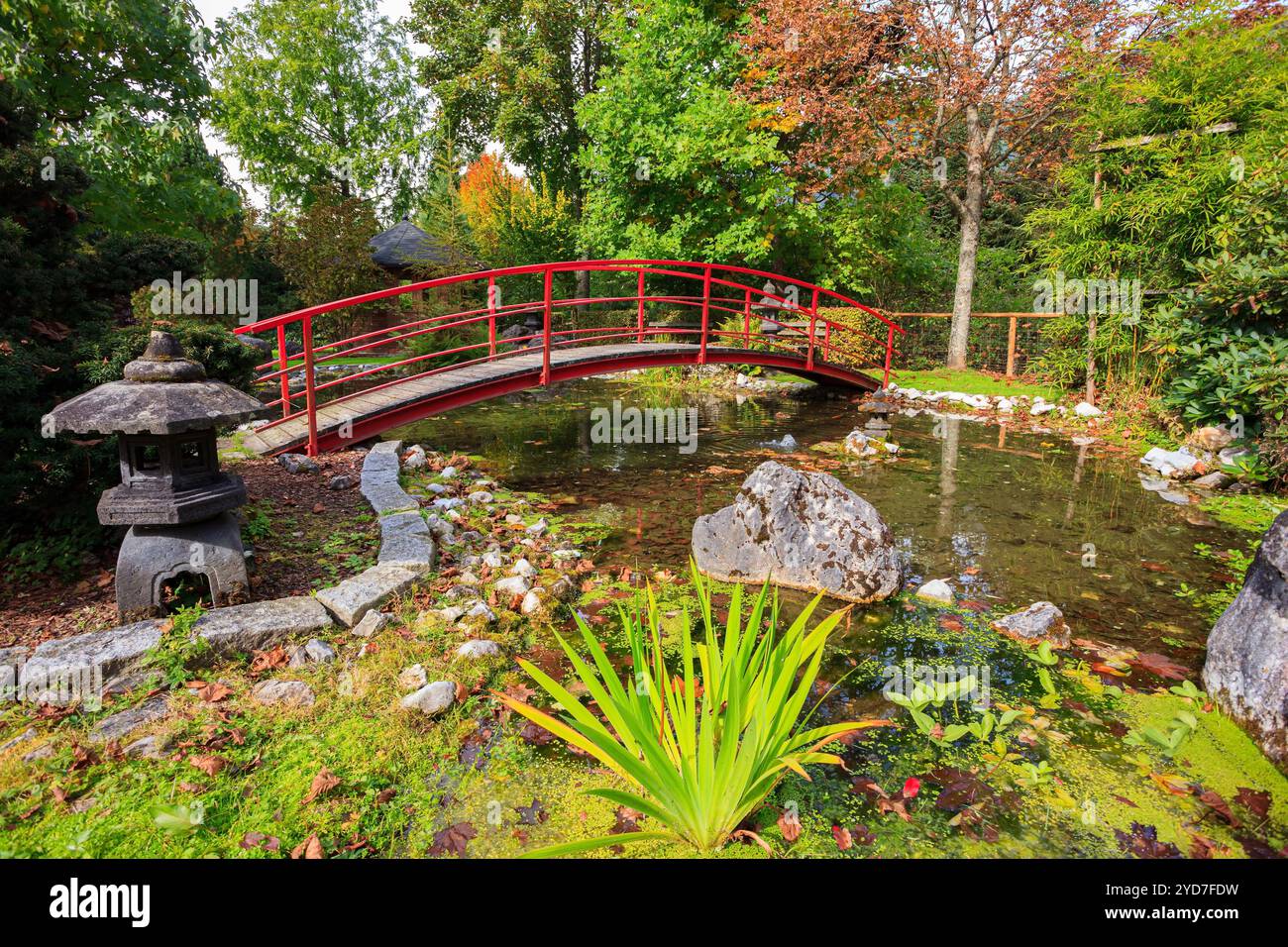 Pont en bois Banque D'Images