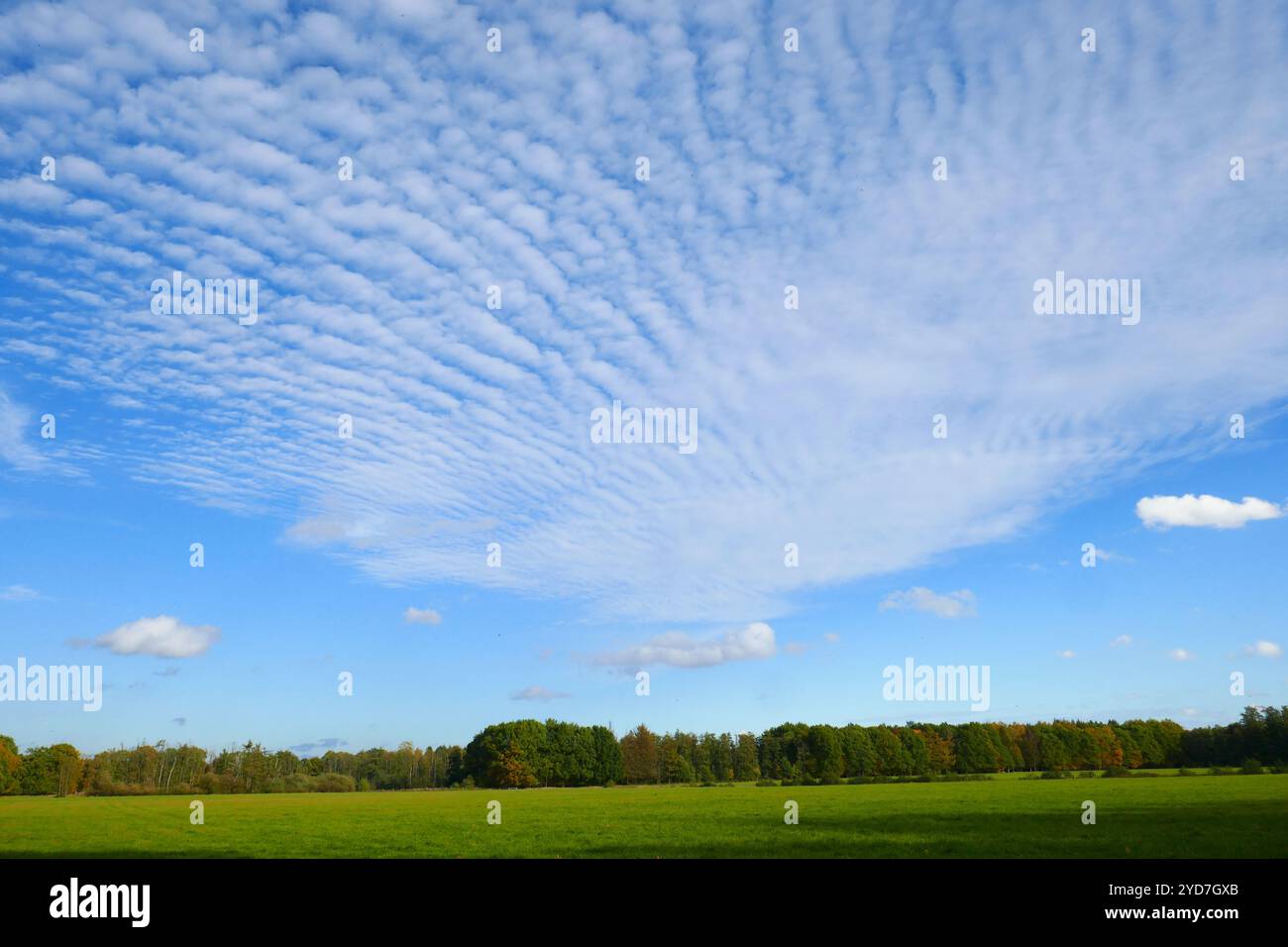 Réserve naturelle de Duvenstedter Brook en automne, Allemagne Banque D'Images