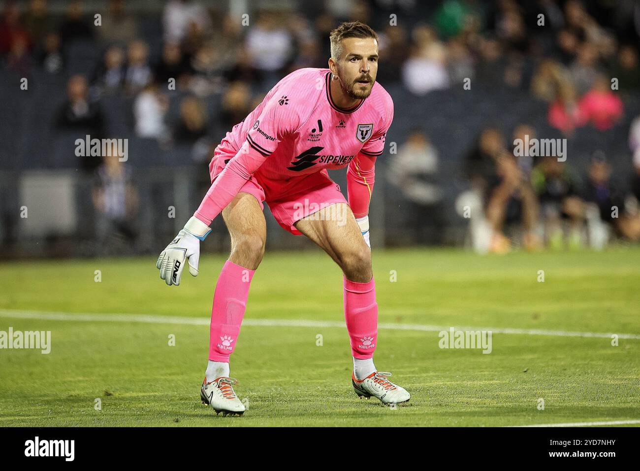 25 octobre 2024 ; Campbelltown Stadium, Sydney, NSW, Australie : a-League Football, MacArthur FC contre Newcastle jets ; Filip Kurto du MacArthur FC se positionne pour défendre Banque D'Images