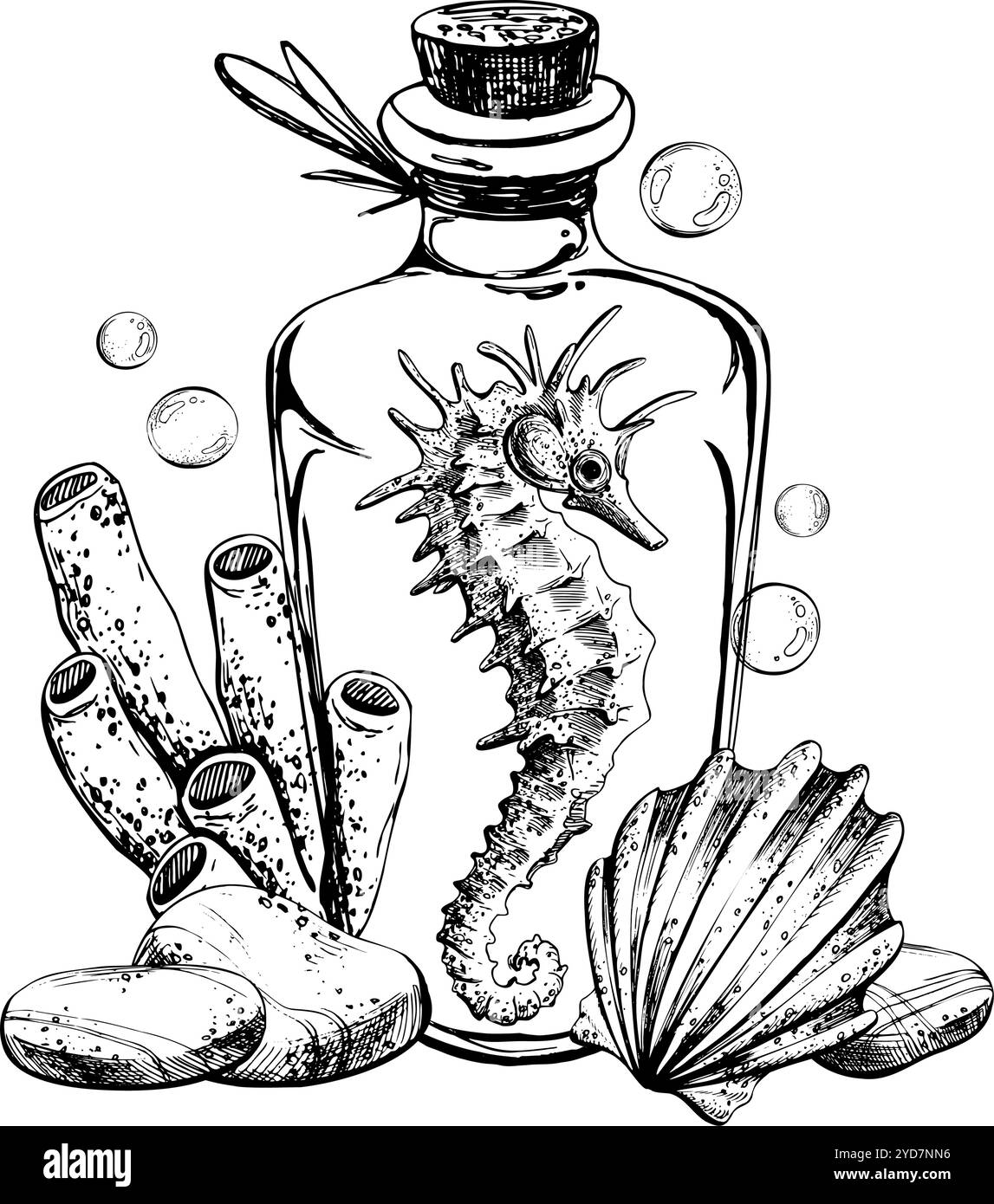 Hippocampe, éponge coquille à l'intérieur d'un pot de bouteille en verre avec des cailloux de mer en liège et des bulles d'eau. Illustration graphique dessinée à la main en ligne de couleur noir et blanc Illustration de Vecteur