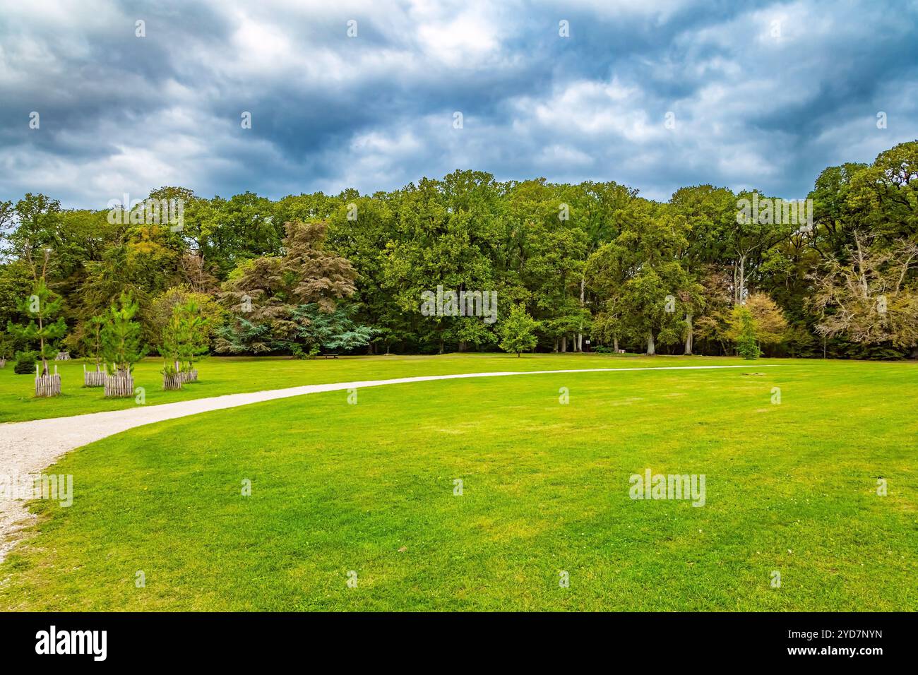 Les pelouses dans le parc d'automne. Banque D'Images Les pelouses dans le parc d'automne. Banque D'Images