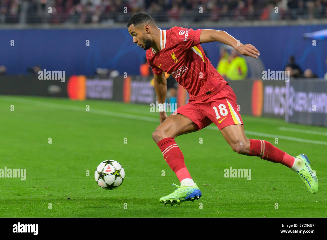 Leipzig, Allemagne. 23 octobre 2024. GER, Saxe, Leipzig, Ligue des Champions RB Leipzig contre FC Liverpool, CHL, UCL, journée, saison 2024/2025, RB Arena, f.l. dans l'image : Cody Gakpo (FC Liverpool - #09), 23.10.2024, crédit : HMB Media/Alamy Live News Banque D'Images