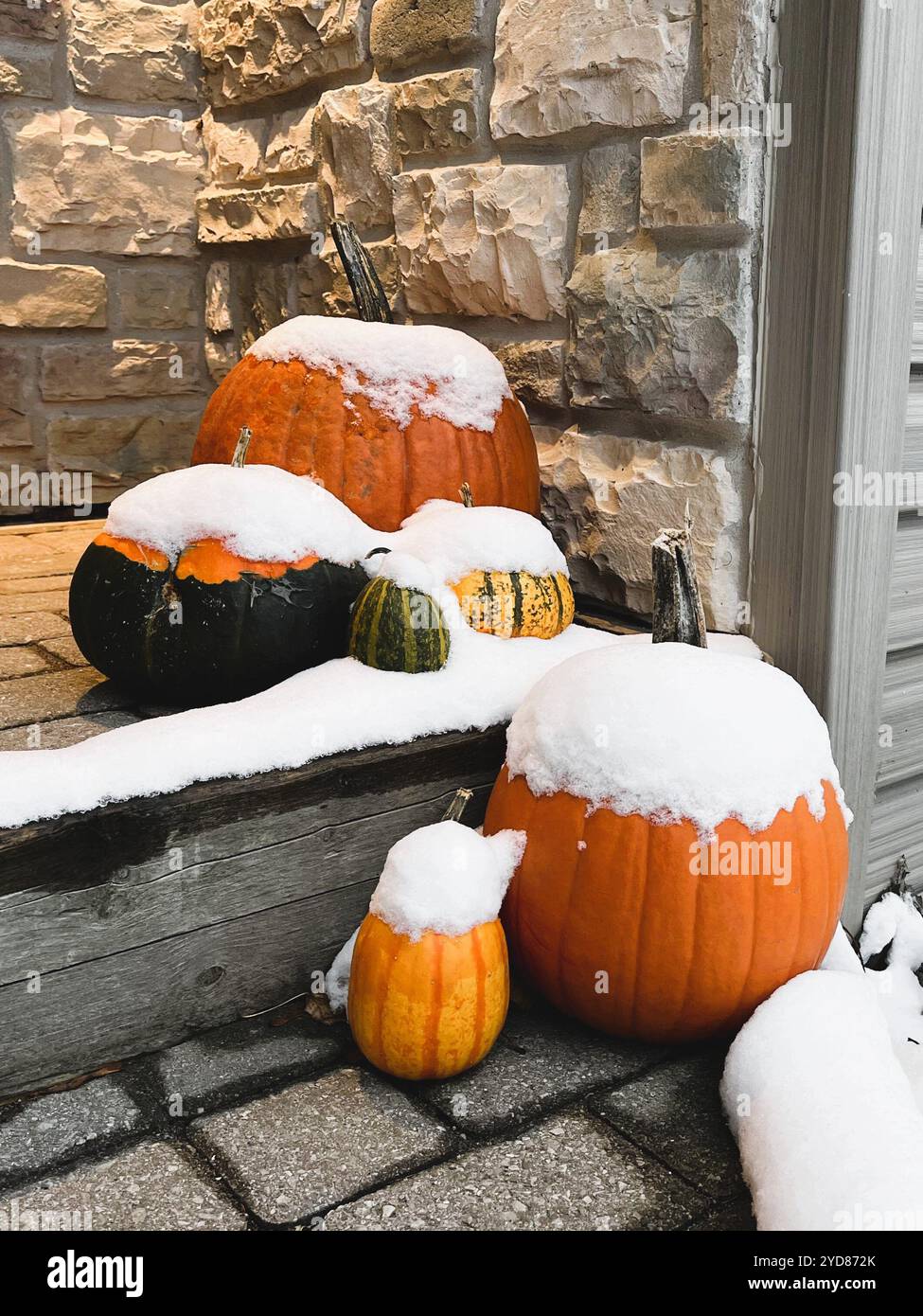 Les citrouilles, les courges et les courges à une entrée principale sont laissées trop longtemps après Halloween et commencent à être couvertes dans la première neige de l'hiver. Banque D'Images