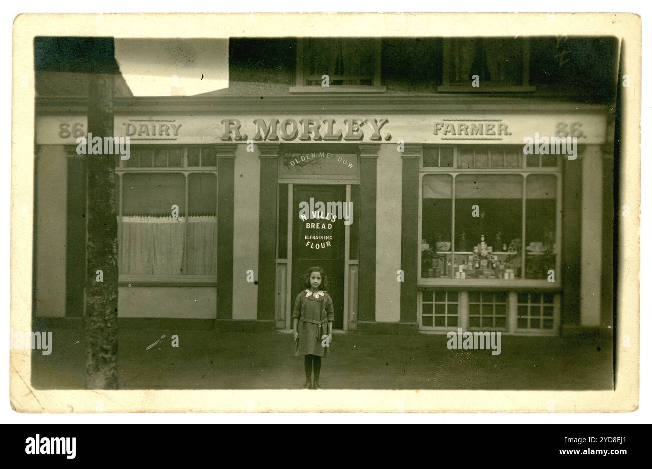 Original WW1 ère carte postale de petite fille debout à l'extérieur dans une porte de magasin. R Morley, Dairy Farmer est le signe du magasin. Les locaux de la laiterie étaient situés au 86, chemin Richmond, Kingston, Surrey. Le panneau de vitrine annonce le pain de Nevill. Circa 1913, Royaume-Uni Banque D'Images